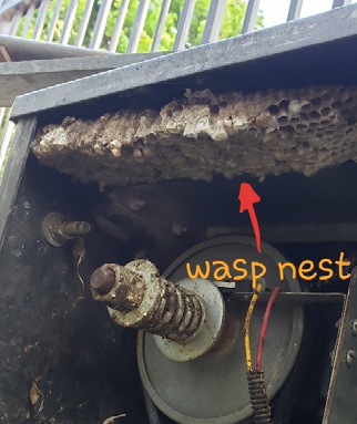 A large wasp next at the top of the inside of an automated gate operator